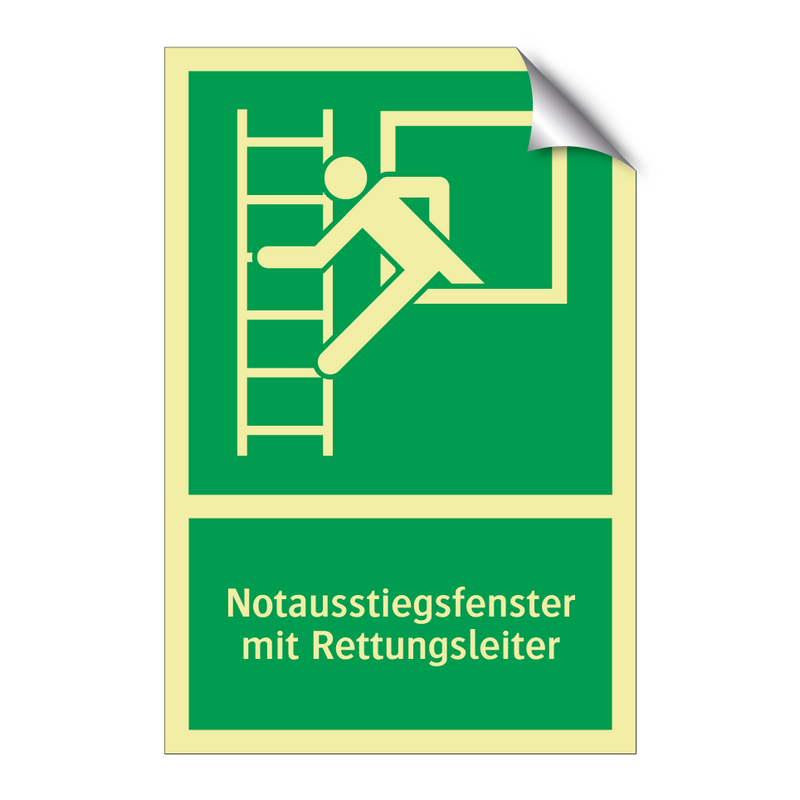 Notausstiegsfenster mit Rettungsleiter