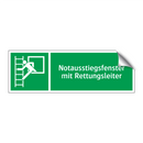 Notausstiegsfenster mit Rettungsleiter