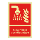 Steuerventil Sprinkleranlage