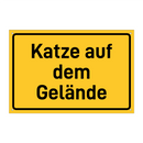 Katze auf dem Gelände & Katze auf dem Gelände & Katze auf dem Gelände & Katze auf dem Gelände