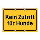 Kein Zutritt für Hunde & Kein Zutritt für Hunde & Kein Zutritt für Hunde