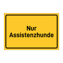 Nur Assistenzhunde & Nur Assistenzhunde & Nur Assistenzhunde & Nur Assistenzhunde