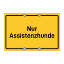 Nur Assistenzhunde & Nur Assistenzhunde & Nur Assistenzhunde & Nur Assistenzhunde