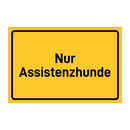 Nur Assistenzhunde & Nur Assistenzhunde & Nur Assistenzhunde & Nur Assistenzhunde