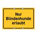Nur Blindenhunde erlaubt & Nur Blindenhunde erlaubt & Nur Blindenhunde erlaubt