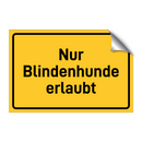 Nur Blindenhunde erlaubt & Nur Blindenhunde erlaubt & Nur Blindenhunde erlaubt