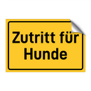 Zutritt für Hunde & Zutritt für Hunde & Zutritt für Hunde & Zutritt für Hunde