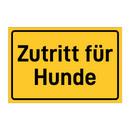 Zutritt für Hunde & Zutritt für Hunde & Zutritt für Hunde & Zutritt für Hunde