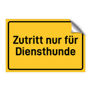 Zutritt nur für Diensthunde & Zutritt nur für Diensthunde & Zutritt nur für Diensthunde