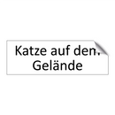 Katze auf dem Gelände