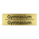 Gymnasium - Gymnasium