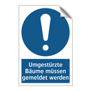 Umgestürzte Bäume müssen gemeldet werden