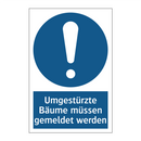 Umgestürzte Bäume müssen gemeldet werden