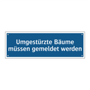 Umgestürzte Bäume müssen gemeldet werden