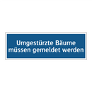 Umgestürzte Bäume müssen gemeldet werden