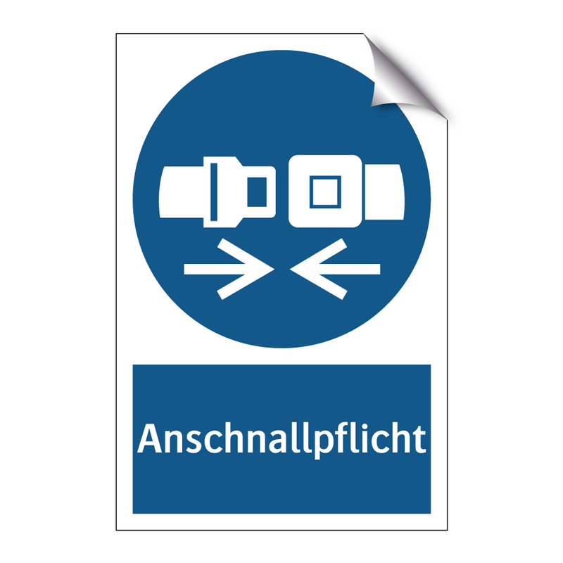 Anschnallpflicht