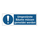Umgestürzte Bäume müssen gemeldet werden