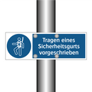 Tragen eines Sicherheitsgurts vorgeschrieben