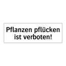 Pflanzen pflücken ist verboten!
