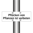 Pflücken von Pflanzen ist verboten
