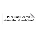 Pilze und Beeren sammeln ist verboten!