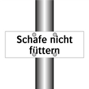 Schafe nicht füttern