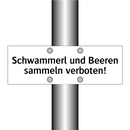 Schwammerl und Beeren sammeln verboten!