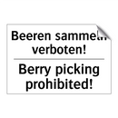 Beeren sammeln verboten! - Berry picking prohibited!