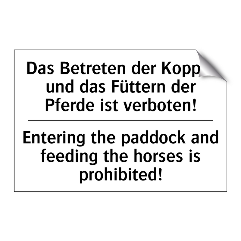 Das Betreten der Koppel und das /.../ - Entering the paddock and feeding /.../