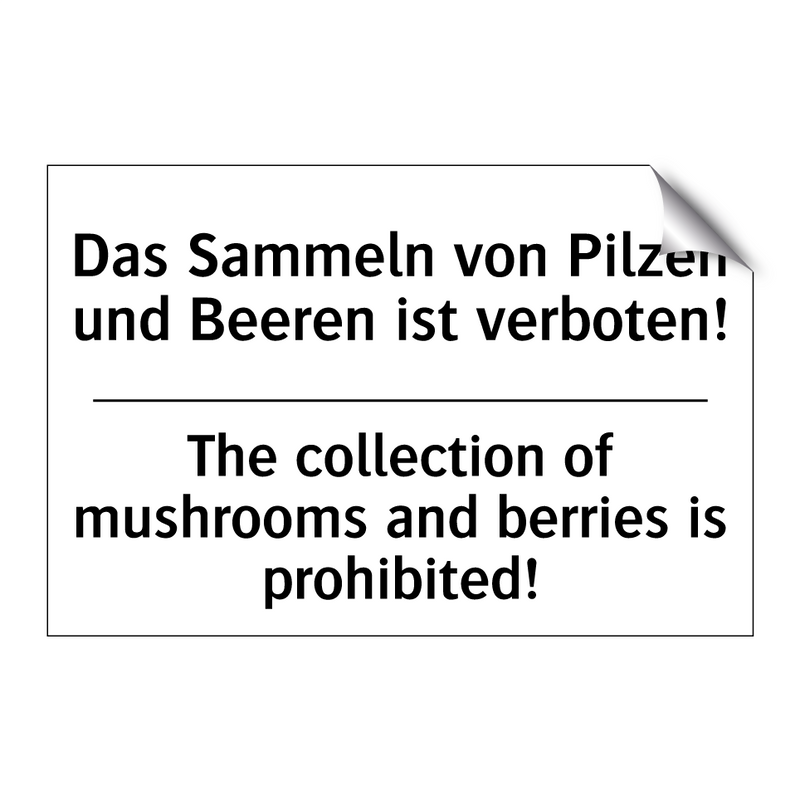 Das Sammeln von Pilzen und Beeren /.../ - The collection of mushrooms and /.../