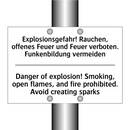 Explosionsgefahr! Rauchen, offenes /.../ - Danger of explosion! Smoking, /.../