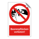 Beerenpflücken verboten!