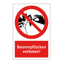 Beerenpflücken verboten!