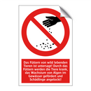 Das Füttern von wild lebenden Tieren ist untersagt! Durch das Füttern werden die Tiere krank, das Wachstum von Algen im Gewässer gefördert und Schädlinge angelockt!