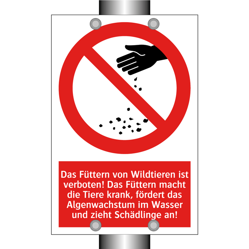 Das Füttern von Wildtieren ist verboten! Das Füttern macht die Tiere krank, fördert das Algenwachstum im Wasser und zieht Schädlinge an!