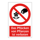 Das Pflücken von Pflanzen ist verboten