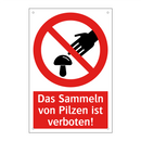 Das Sammeln von Pilzen ist verboten!