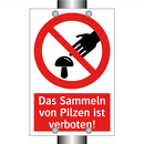 Das Sammeln von Pilzen ist verboten!