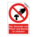 Das Sammeln von Pilzen und Beeren ist verboten