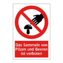 Das Sammeln von Pilzen und Beeren ist verboten