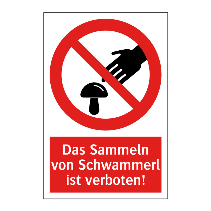 Das Sammeln von Schwammerl ist verboten!