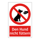Den Hund nicht füttern