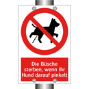Die Büsche sterben, wenn Ihr Hund darauf pinkelt