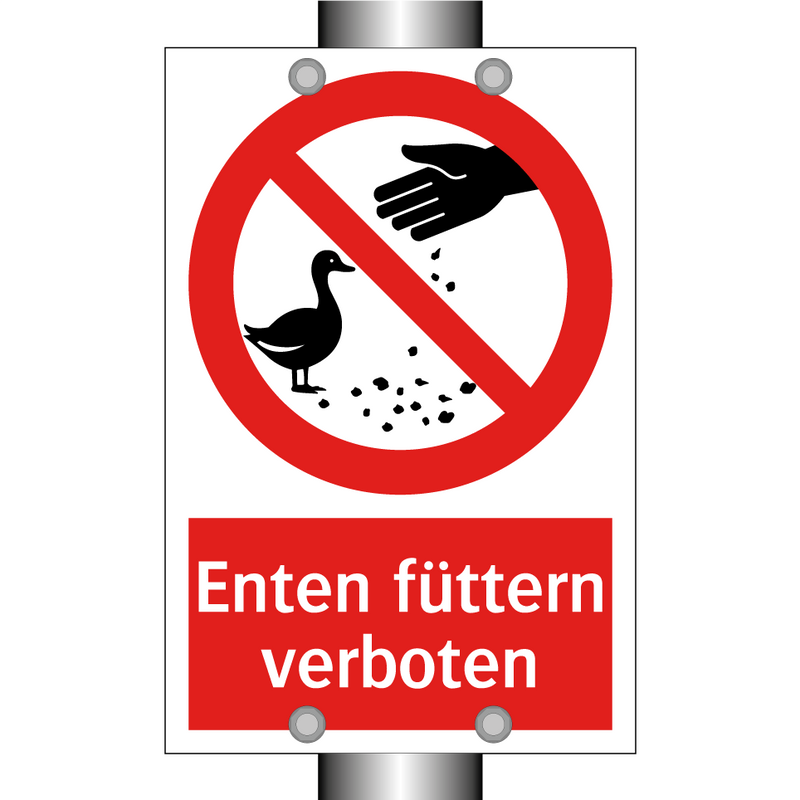 Enten füttern verboten