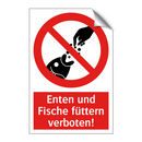 Enten und Fische füttern verboten!