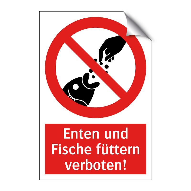 Enten und Fische füttern verboten!