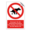 Entsorgen Sie die Hinterlassenschaften Ihres Hundes und nehmen Sie den Beutel mit