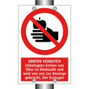 ERNTEN VERBOTEN Unbefugtes Ernten von Obst ist Diebstahl und wird von uns zur Anzeige gebracht, Der Erzeuger