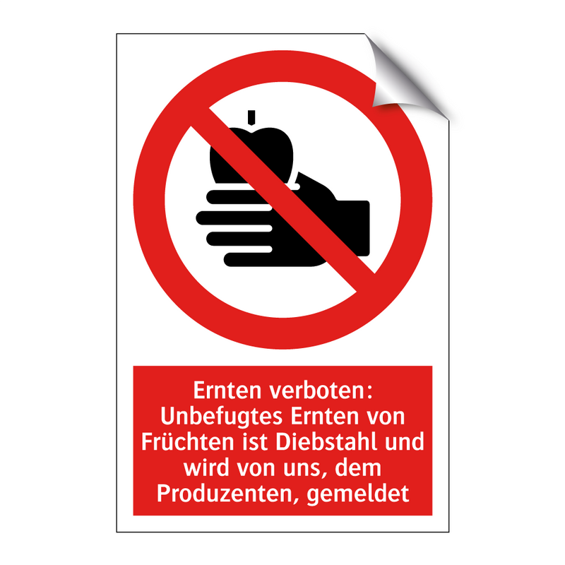 Ernten verboten: Unbefugtes Ernten von Früchten ist Diebstahl und wird von uns, dem Produzenten, gemeldet