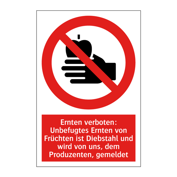 Ernten verboten: Unbefugtes Ernten von Früchten ist Diebstahl und wird von uns, dem Produzenten, gemeldet